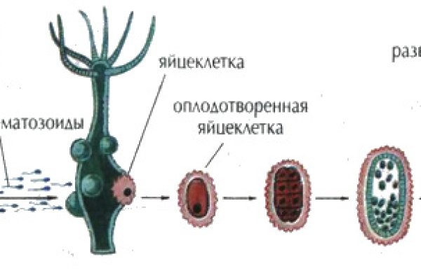 Кракен даркнет ссылка зеркало