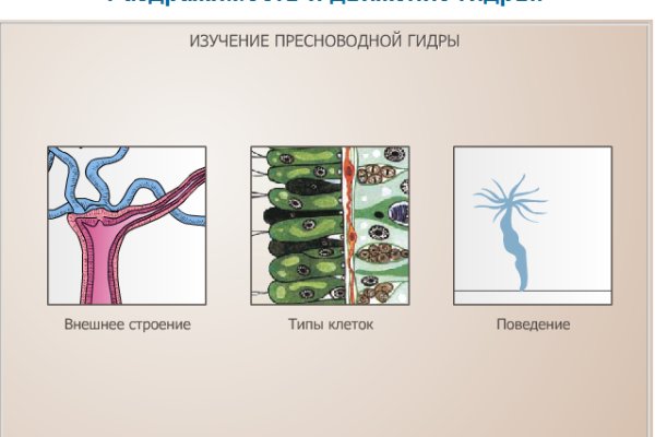 Кракен магазин даркнет