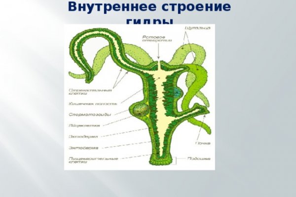 Действующая ссылка на кракен