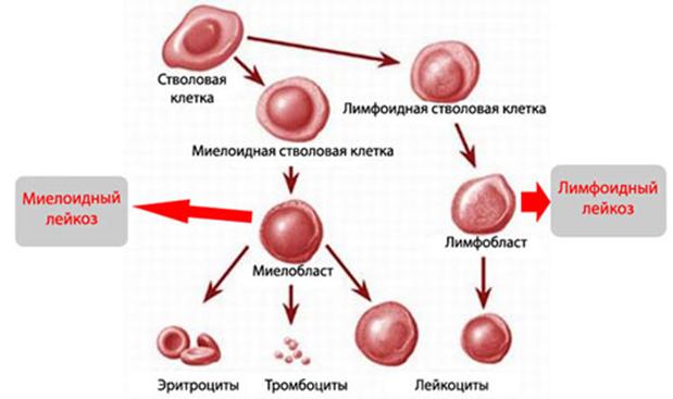 Кракен сообщество